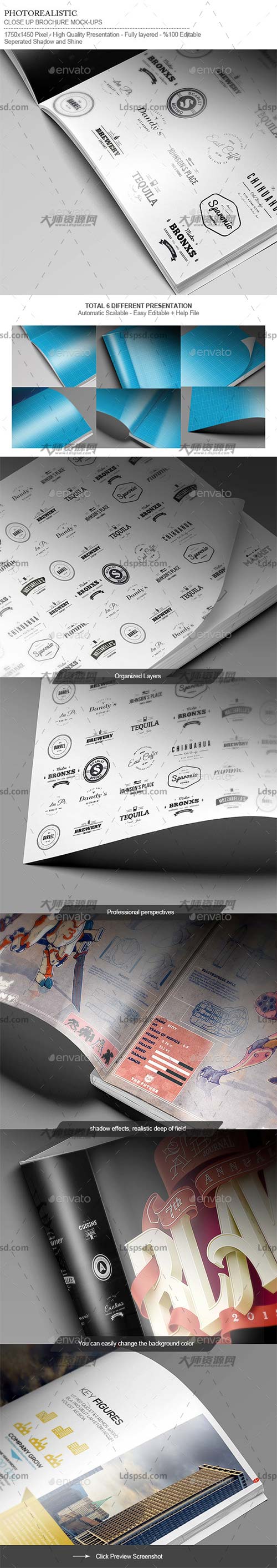 Flyer/Logo/Brochure/Close-Up Mock-Up,杂志/产品手册特写展示模型